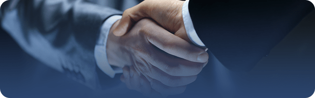 Our Partnering Strategy